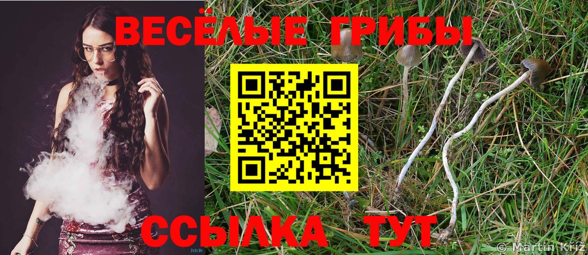 Псилоцибиновые грибы Psilocybine cubensis  Вход с VPN  Белорецк 